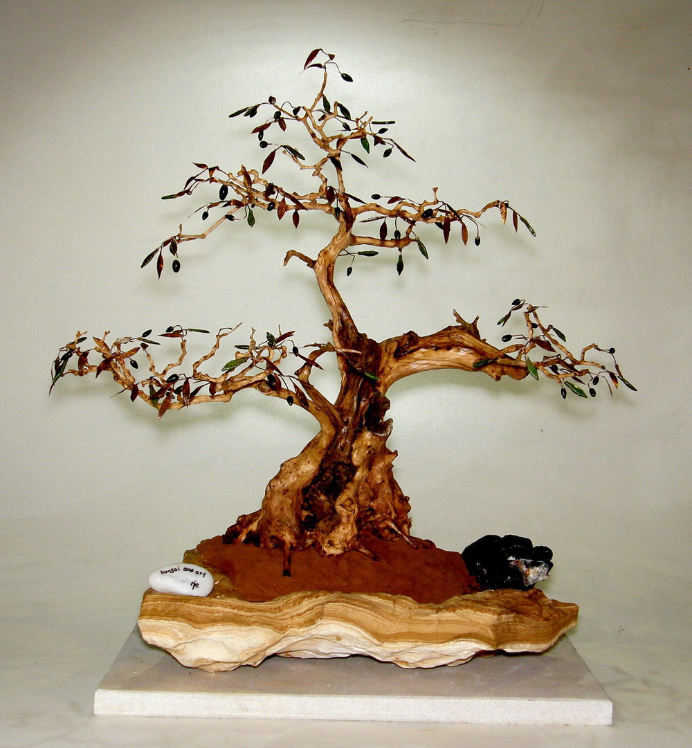 Olive Bonsai